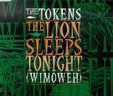 [Lion Sleeps Tonight]